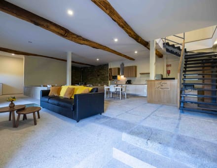 Sala de estar e cozinha em open-space, com vigas de madeira à vista