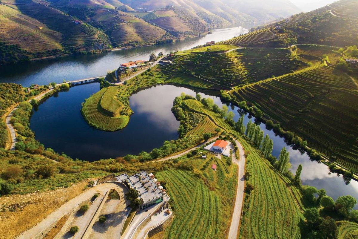Porto e Norte — vinhas em socalcos do Douro